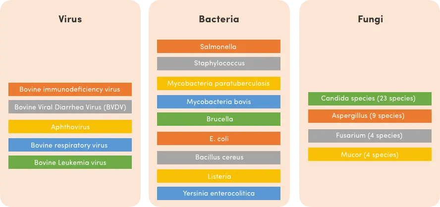 biomagnetism-and-dairy-products