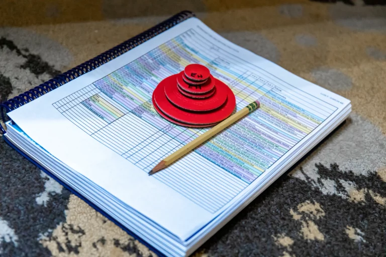 Biomagnetism Medium Size Magnets
